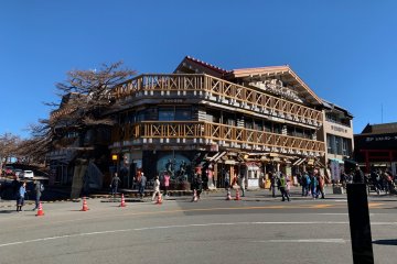 Mount Fuji and Hakone Day Tour
