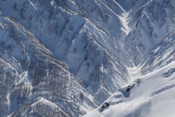 Backcountry Powder in Hakuba