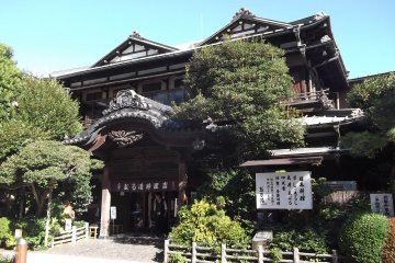 Daruma