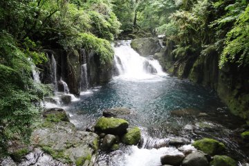 A Natural Wonder: Kikuchi Gorge