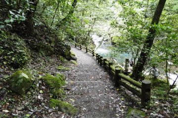 Hiking path along the river