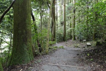 Another section of the hiking trail