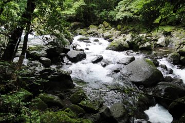 The river looks so inviting