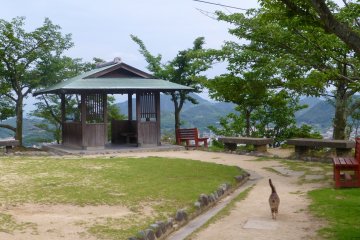 Another viewing point at Senkoji Park