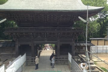 Take a look back after passing through the gate to admire its true beauty.