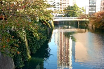 Meguro River (2)