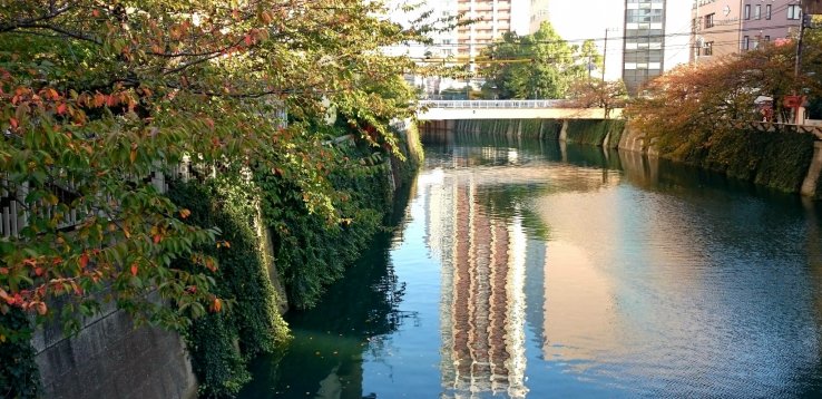 Meguro River (2)