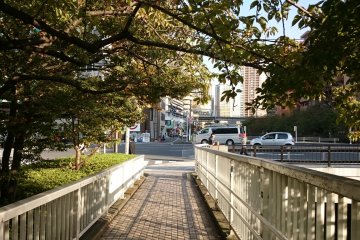 Meguro River (3)