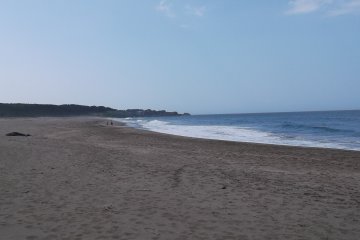 <p>It's a long, long beach</p>