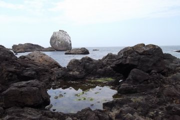 <p>This big rock seems to be popular with seagulls</p>
