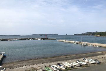 More of the peaceful view you'll find outside - there's an outdoor decking area behind the restaurant