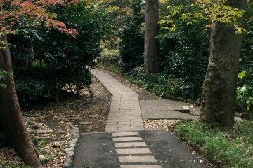 Paths lead down to the ravine 