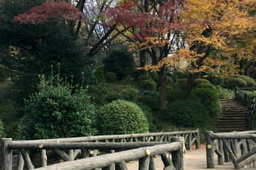 A variety of footpaths and decks 
