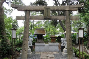 One of the many torii you will find.