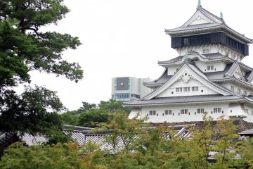Capture lovely views of Kokura Castle from the garden.