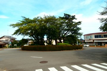 The rotary (the location of the local antique shop in the film)
