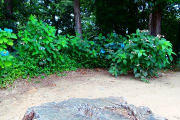 Full of nature