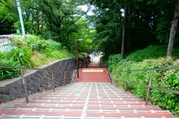 The stairs Shizuku was running down after visiting the antique shop