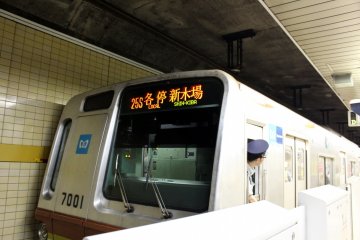Towards Shinkaba