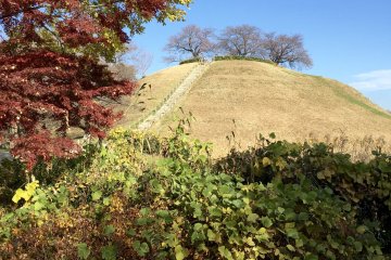 The Maruhakayama Kofun