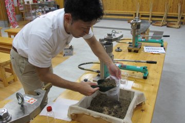 Camellia Oil Extraction