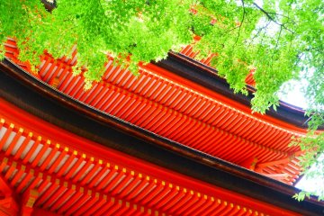 Lihatlah ke atas dan Anda akan melihat daun mapel dengan warna yang kontras dengan pagoda