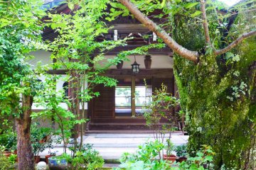 Peering through the trees to find more beautiful buildings around the temple