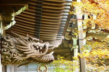 Intricate wooden carvings leap from the temple into the trees
