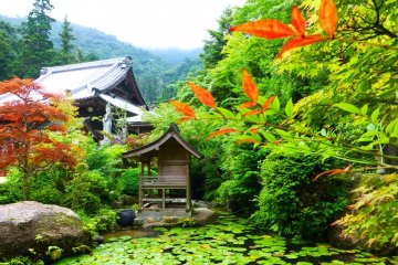 The natural beauty which surrounds Daisho-in Temple is simply phenomenal