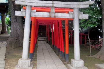 Torii yang membawa kepada kuil Ana Inari 