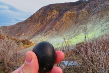 Black Egg