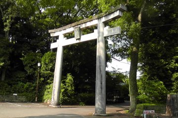 The Miyazaki Shrine Forest - Part 3