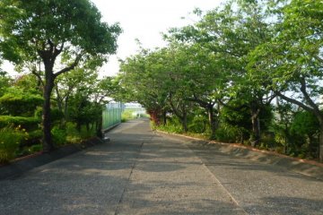 View of the entrance from inside.
