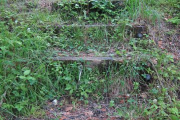 Grass covered steps lead you on an adventure in the park