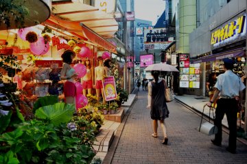 Decorative plants are located all along the street