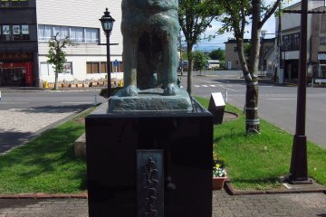 Hello Hachiko