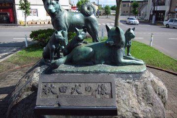 Hachiko together with his friends