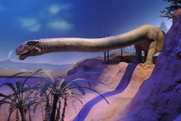 Long-necked dinosaur robot