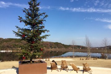 This Charlie Brown sort of Christmas tree is true to Scandinavian style. 
