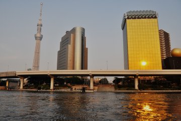 As the day got darker, the sunset was projected on one of the skyscrapers from across the river.