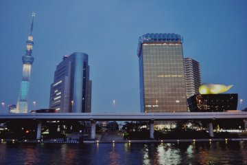 A view of the skyline at night.