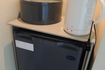 Comes with a small fridge