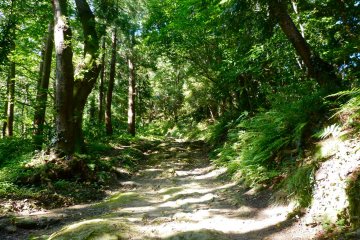 Mountain path leading to Jinmu-ji Temple