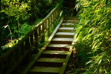Stone steps leading up toward the temple hall
