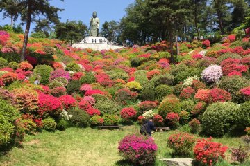 It's a particularly popular spot in the spring