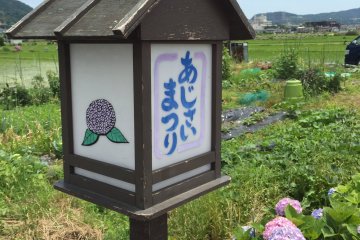 A slice of countryside life