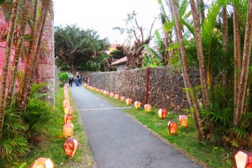 Coconut trees and hand cut stone walls create an almost Balinese feel to the Ryukyu Islands.