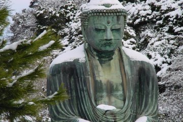 Daibutsu in the snow. Also rare