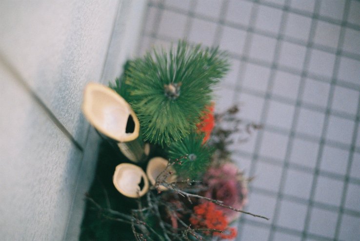 Kadomatsu decoration