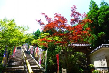 The entrance to Daisho-in Temple